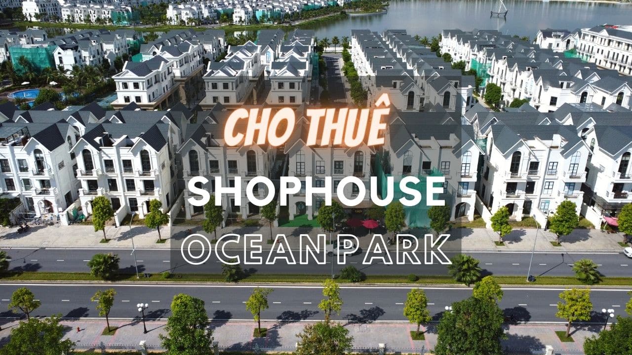 cho thuê shophouse vin ocean park